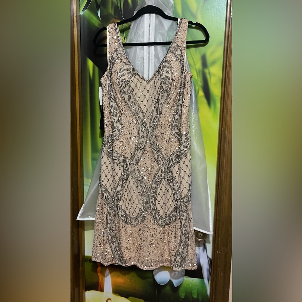 LARA Beige and Silver Embellished Gown